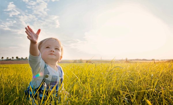 Взор в небо