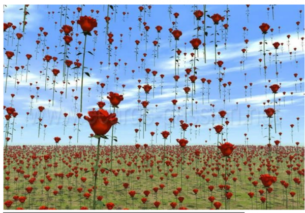 Дождь из цветов