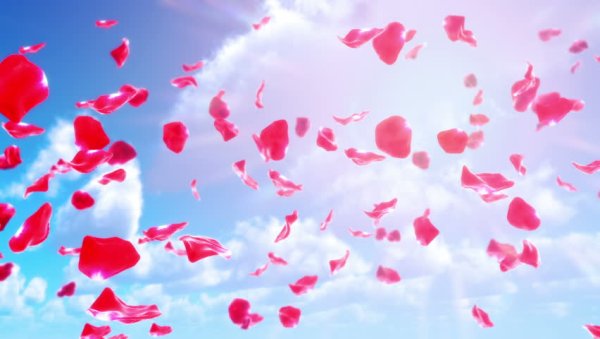 Улетающие лепестки