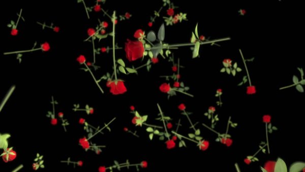 Падающие цветы