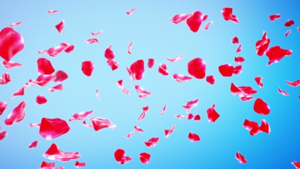 Лепестки в воздухе