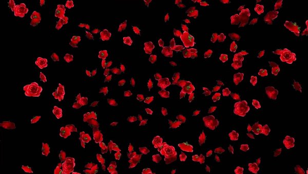 Падающие цветы