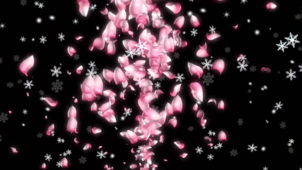 Падающие цветы