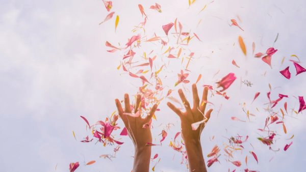 Лепестки в воздухе