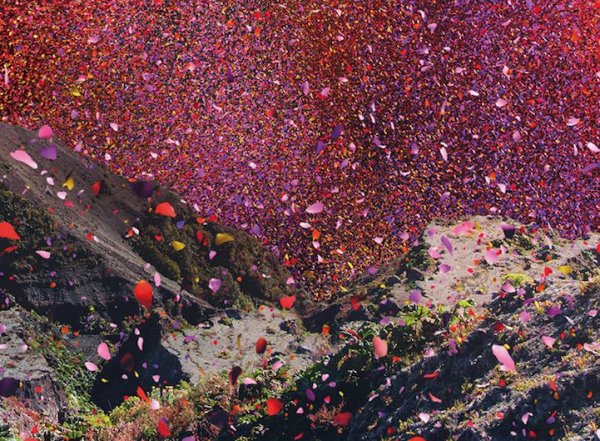 Дождь из лепестков