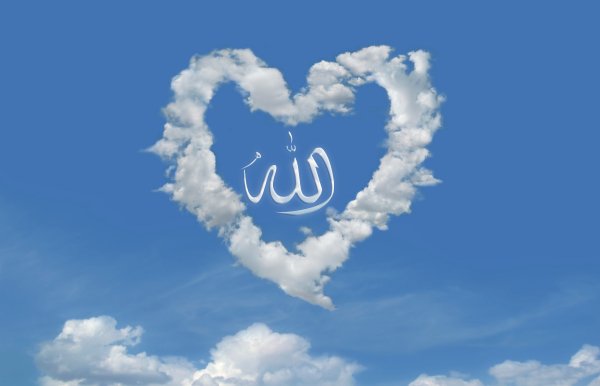 Сердце в небе