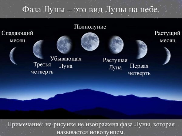Полнолуние Светлана Поделинская
