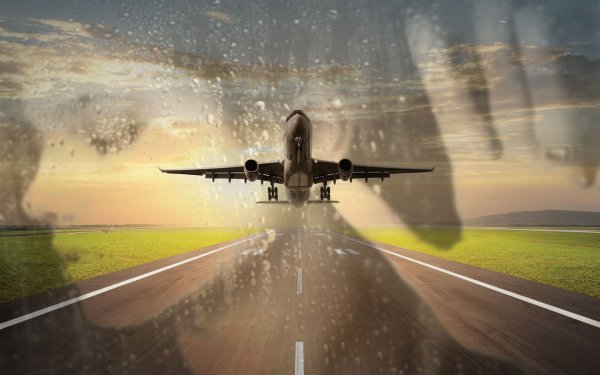 Птицы из души