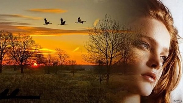 Стихи про тех кого забрали небеса