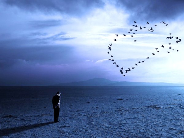 Одинокое небо