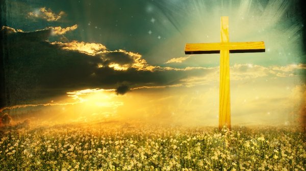 Милость богов