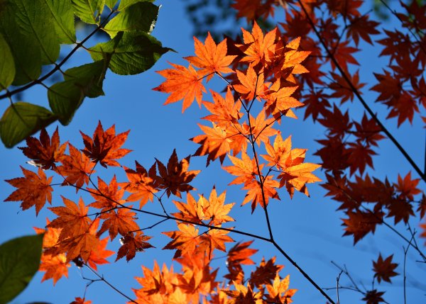 Осеннее небо