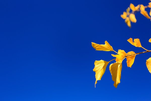 Осеннее небо