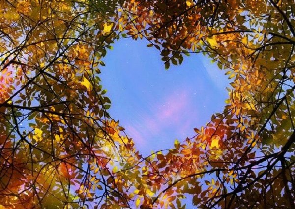 Листья кружатся