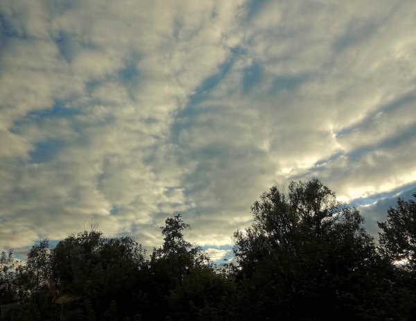 Серое небо