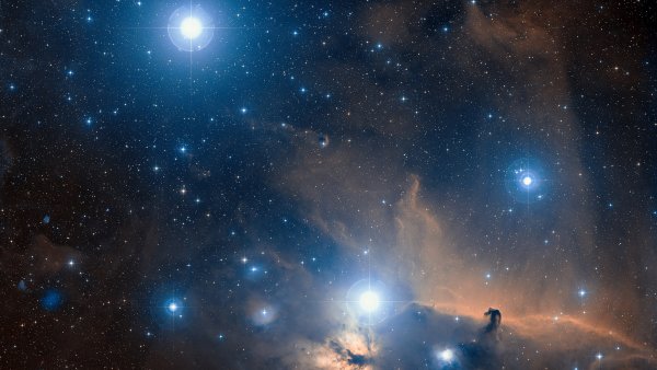 Звезда Проксима