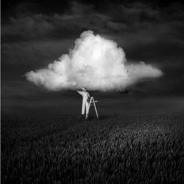 Небо и кроны деревьев