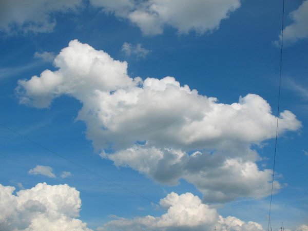 По небу плывут облака