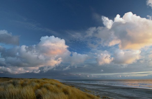 Кучевые облака