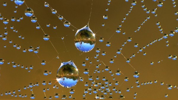 Небо отражение в воде капля