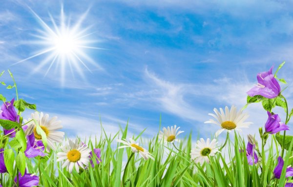 Мультяшное солнышко на небе