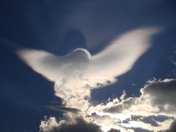 Руки к небесам