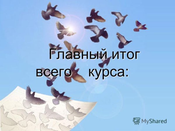 Разлетающиеся голуби