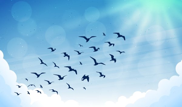 Мультяшные птицы в полете