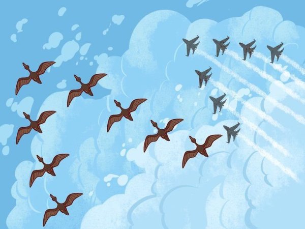 Мультяшный птица летающий