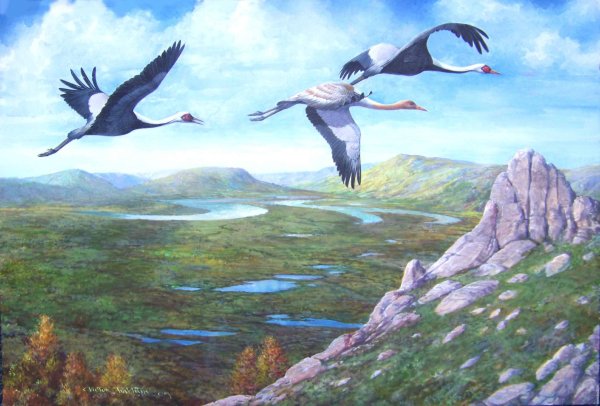 Художник David a. Maass