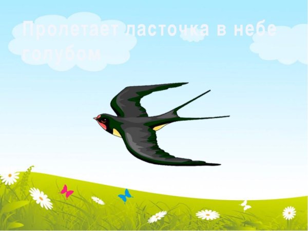 Летающие птицы для детей