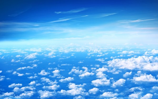 Красивое небо с деревьями