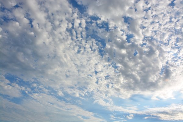 Небо с белыми облаками