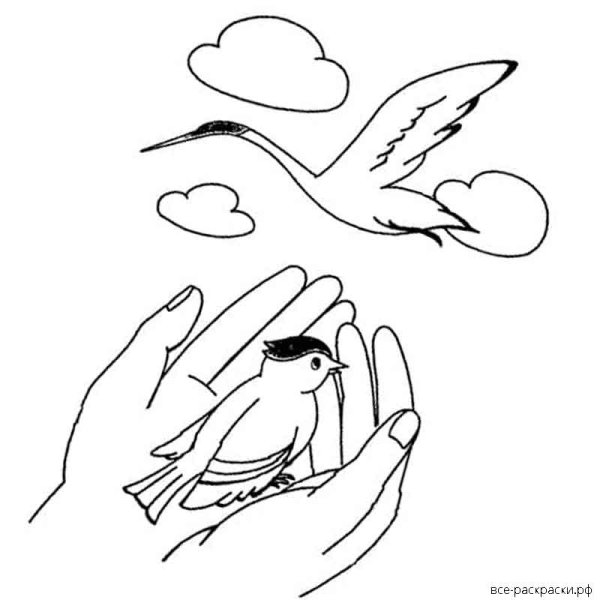 Сница в руках журавль в небе