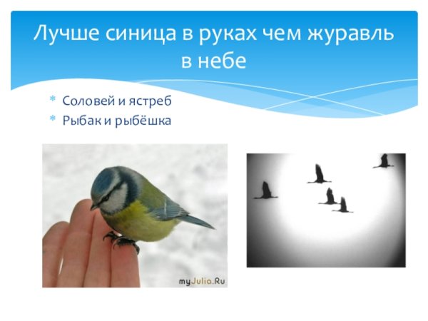 Синица в руках журавль в небе