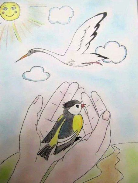 Лучше синица в руках чем журавль в небе