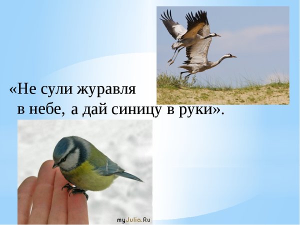 Поговорка журавль в небе синица руках