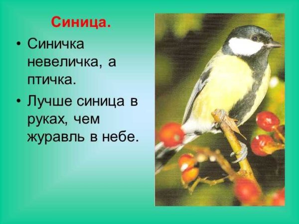Лучше синица