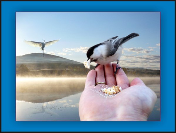 Лучше синица в руках чем журавль в небе