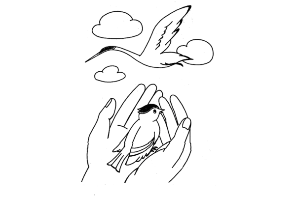 Синица в руках журавль в небе