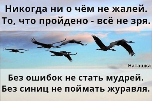 Никогда ни о чёмне жалей