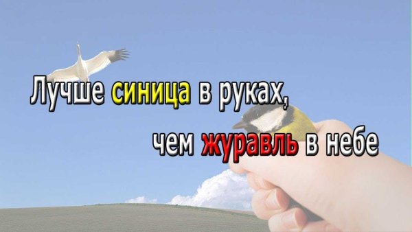 Лучше синица в руках чем журавль в небе