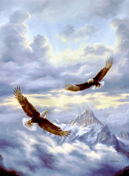 Парящий Орел