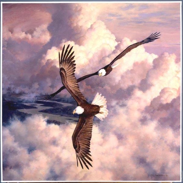 Художник Виктор Бахтин картины