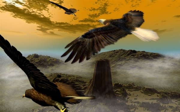 Картина Орел в полете