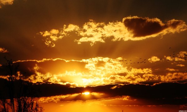 Золотые небеса