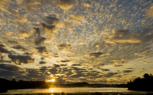 Перистые облака на закате