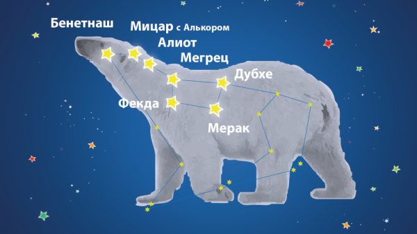 Созвездие ковш малой медведицы