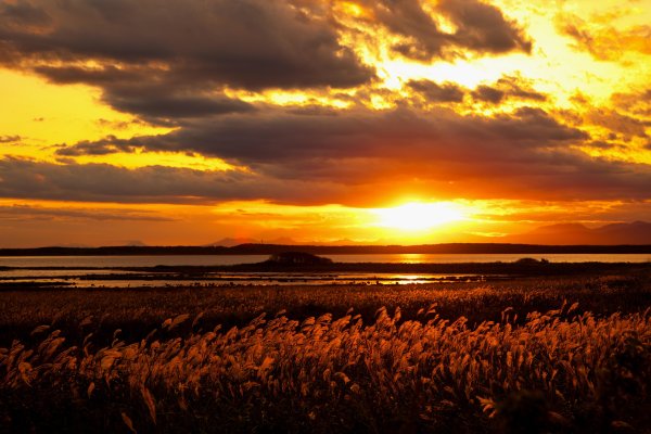 Красивый закат желтый