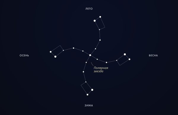 Большая Медведица (Ursa Major)
